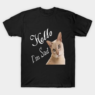 Hello my cat sad T-Shirt